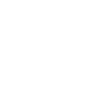 /aselsan